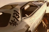 Cuda Myrtle 15