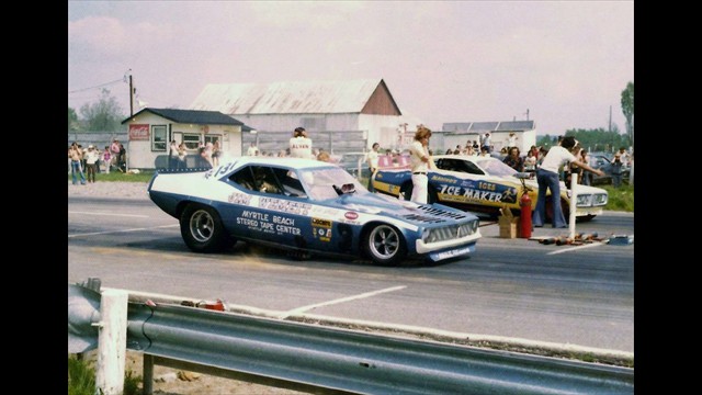 Cuda Myrtle 10 Cuda Myrtle 10