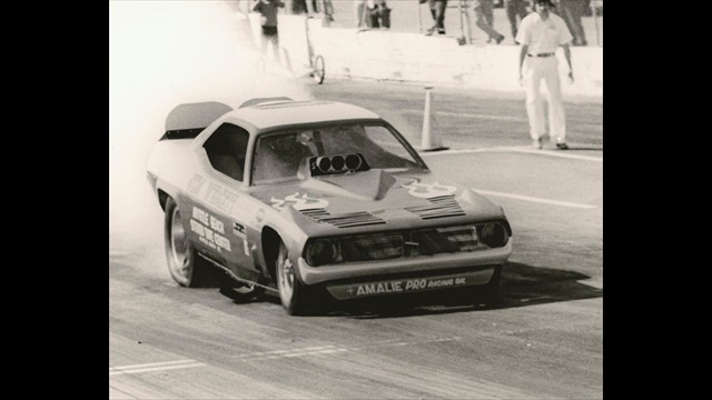 Cuda Myrtle 14 Cuda Myrtle 14