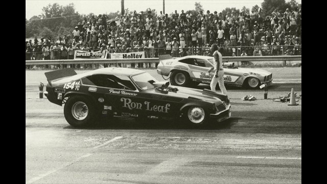 1977 Mustang 19 VS Leaf cropped 1977 Mustang 19 VS Leaf cropped