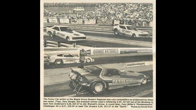 1981 Tom Anderson 100 1981 Tom Anderson 100